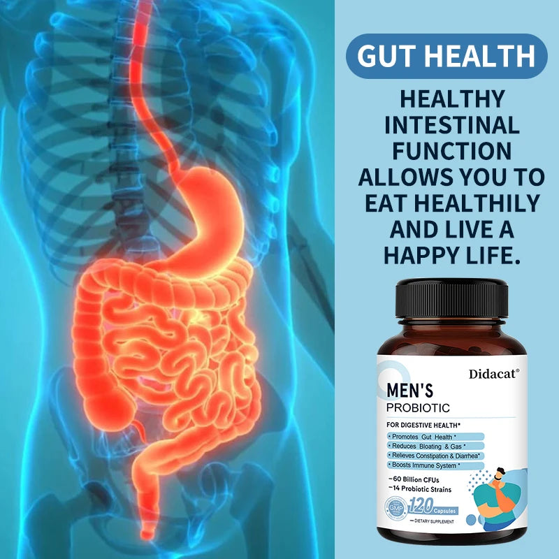 Men's Lactobacillus Probiotics Digestive Enzyme & Prebiotic Fiber Digestive Health More Effective Intestinal Immune Health
